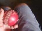Cricket ball for sell