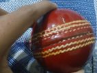 Cricket Ball