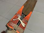 Cricket Bat