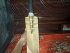 cricket bat