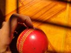 Cricket Dues Bat & Ball