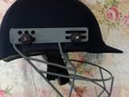 Cricket helmet and Gloves.