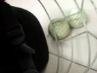 Cricket Helmet