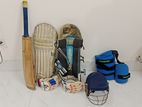 Cricket instrument