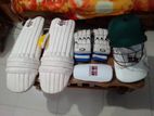 Cricket Item Full Setup Good Condition