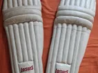 Cricket Professional White Pad