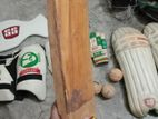 Cricket set