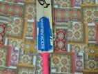 Cricket Set