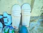 Cricket Set With Bag . all item