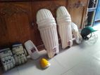 Cricket sorongjam