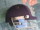 Cricket helmet & Pads