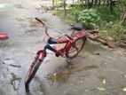 Bicycle for sell