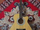 Custom acoustic guitar