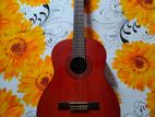 Custom Classical Guitar