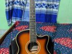 Custom Guitar Tg220c/bs