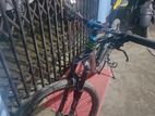 custome cycle