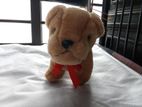 Cute puppy doll