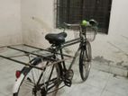 Bicycle for sell