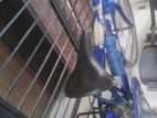 Cycle boro size