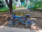 Cycle for sale