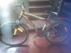 Bicycle for Sale