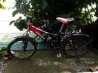 Bicycle for sell