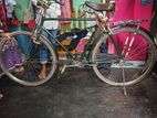 Cycle for sale