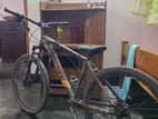 Phoenix Bicycle for sale