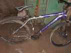 Cycle for sell
