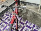 Cycle