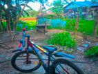 Cycle For Sell