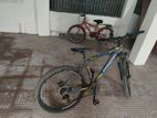 Cycle for sale