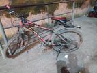 cycle for sale