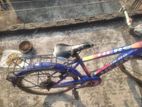 Cycle for sale