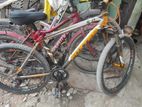 cycle for sale