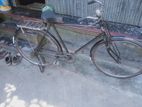 cycle for sale