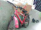 Cycle for sale