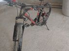 Cycle for sale