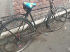 Cycle for Sell