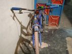 Cycle for sell