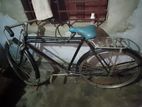 Cycle for sell