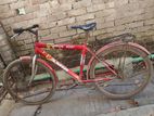 cycle for sell