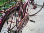 Cycle For Sell