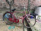 Cycle for sell