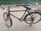 Cycle For Sell