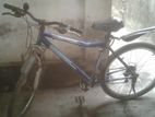 cycle for sell