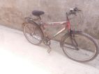 Cycle For Sell(24 size)