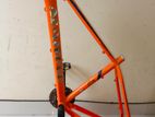 Cycle Frame