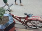 Cycle for sell