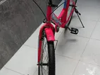 Cycle Pink Colour